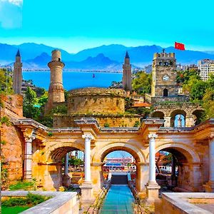 Apartments 2 Bedrooms, 1 Bedrooms, Hotel, Villa - Center, Old Town, Beach